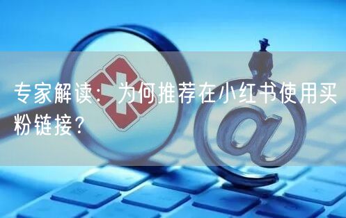 专家解读：为何推荐在小红书使用买粉链接？