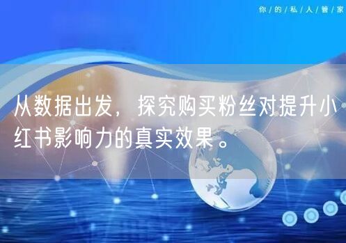 从数据出发，探究购买粉丝对提升小红书影响力的真实效果。