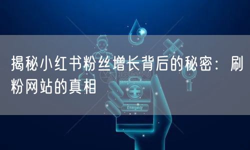 揭秘小红书粉丝增长背后的秘密：刷粉网站的真相