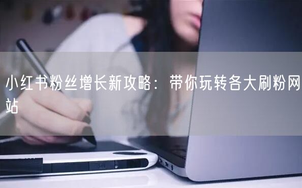 小红书粉丝增长新攻略：带你玩转各大刷粉网站