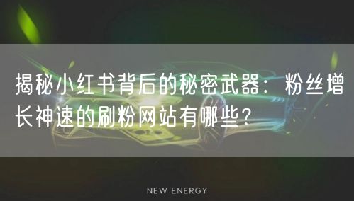 揭秘小红书背后的秘密武器：粉丝增长神速的刷粉网站有哪些？