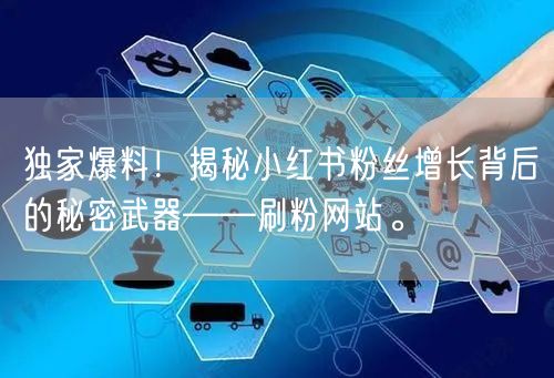 独家爆料！揭秘小红书粉丝增长背后的秘密武器——刷粉网站。