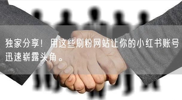 独家分享！用这些刷粉网站让你的小红书账号迅速崭露头角。