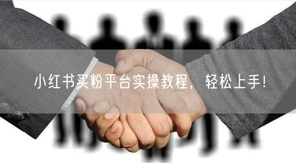 小红书买粉平台实操教程，轻松上手！