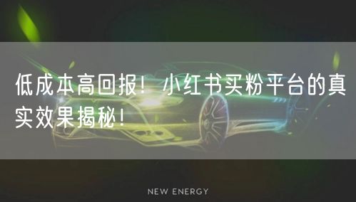 低成本高回报！小红书买粉平台的真实效果揭秘！