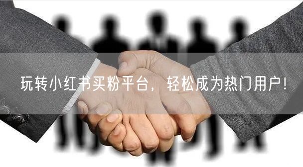 玩转小红书买粉平台，轻松成为热门用户！