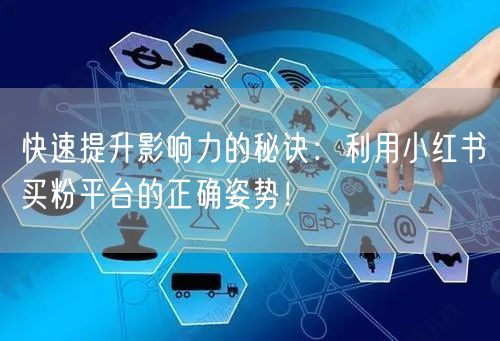 快速提升影响力的秘诀：利用小红书买粉平台的正确姿势！