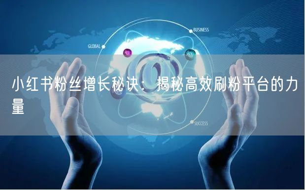 小红书粉丝增长秘诀：揭秘高效刷粉平台的力量