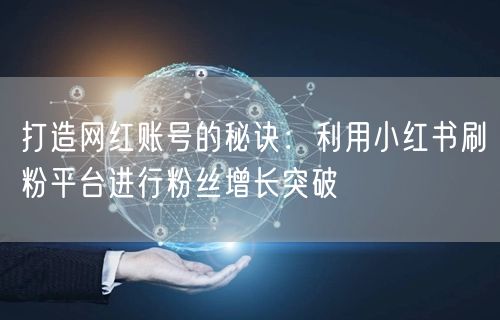 打造网红账号的秘诀：利用小红书刷粉平台进行粉丝增长突破