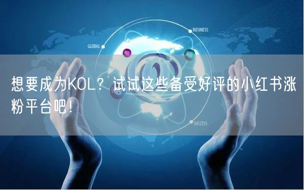 想要成为KOL？试试这些备受好评的小红书涨粉平台吧！