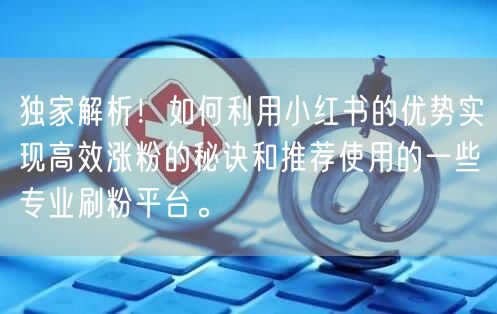 独家解析！如何利用小红书的优势实现高效涨粉的秘诀和推荐使用的一些专业刷粉平台。