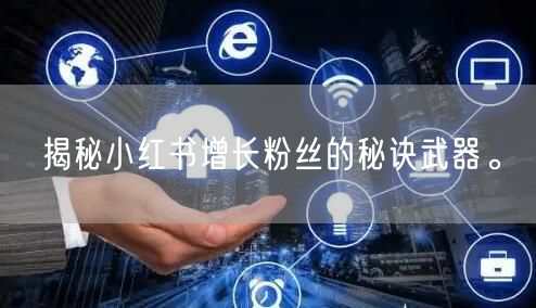 揭秘小红书增长粉丝的秘诀武器。