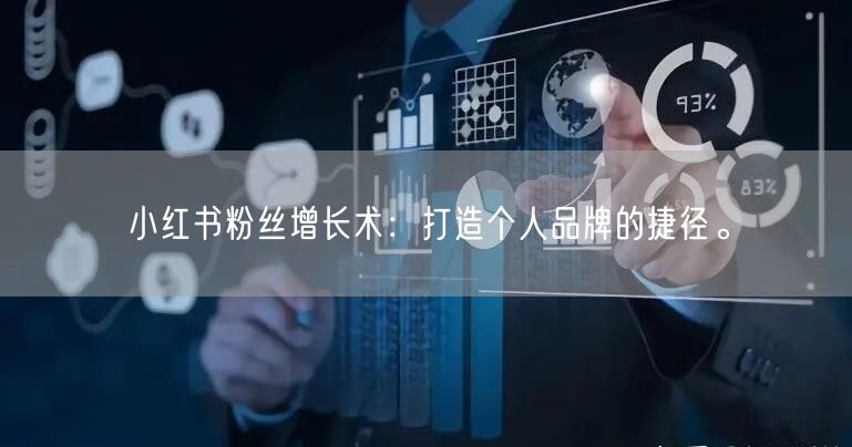 小红书粉丝增长术：打造个人品牌的捷径。