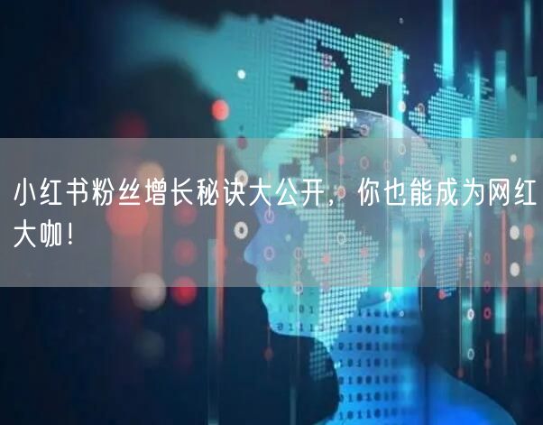 小红书粉丝增长秘诀大公开，你也能成为网红大咖！