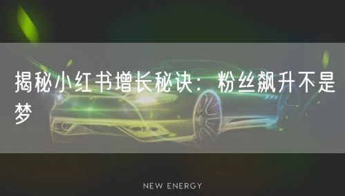 揭秘小红书增长秘诀：粉丝飙升不是梦