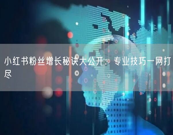 小红书粉丝增长秘诀大公开：专业技巧一网打尽