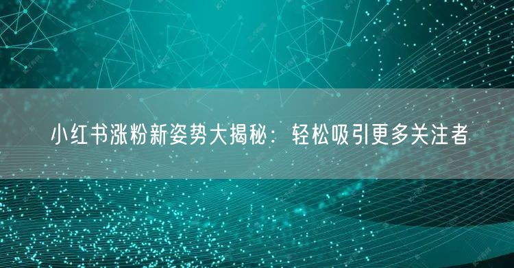 小红书涨粉新姿势大揭秘：轻松吸引更多关注者
