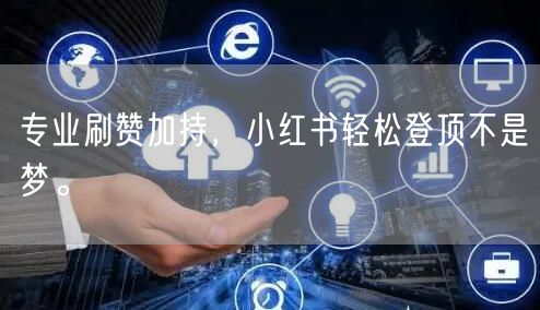 专业刷赞加持，小红书轻松登顶不是梦。