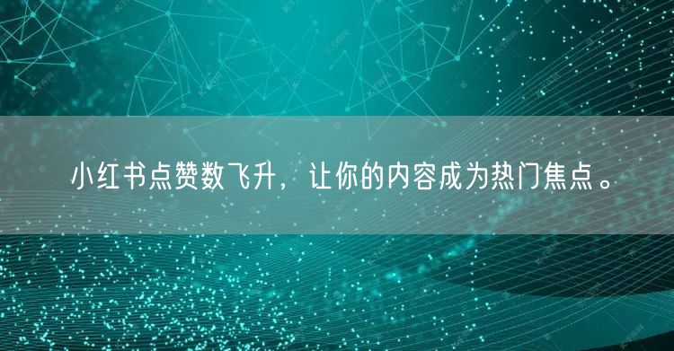 小红书点赞数飞升，让你的内容成为热门焦点。