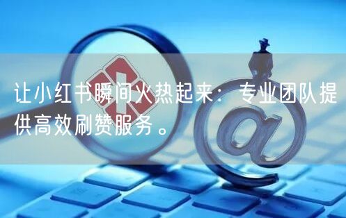 让小红书瞬间火热起来：专业团队提供高效刷赞服务。