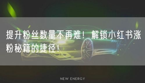 提升粉丝数量不再难！解锁小红书涨粉秘籍的捷径！