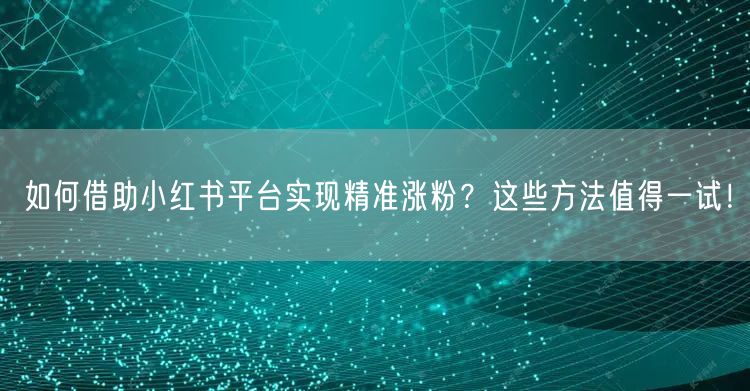 如何借助小红书平台实现精准涨粉？这些方法值得一试！