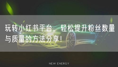 玩转小红书平台，轻松提升粉丝数量与质量的方法分享！