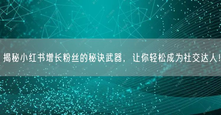揭秘小红书增长粉丝的秘诀武器，让你轻松成为社交达人！
