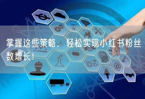 掌握这些策略，轻松实现小红书粉丝数增长！