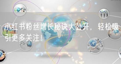 小红书粉丝增长秘诀大公开，轻松吸引更多关注！