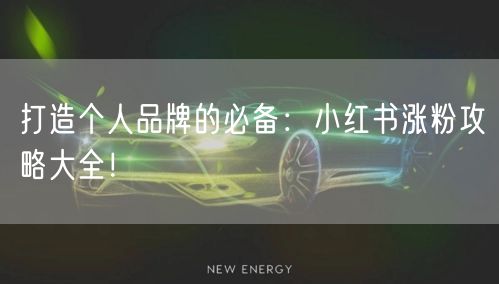 打造个人品牌的必备：小红书涨粉攻略大全！