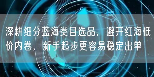 深耕细分蓝海类目选品,避开红海低价内卷,新手起步更容易稳定出单