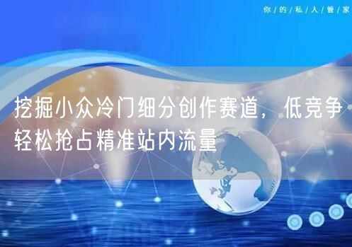 挖掘小众冷门细分创作赛道,低竞争轻松抢占精准站内流量